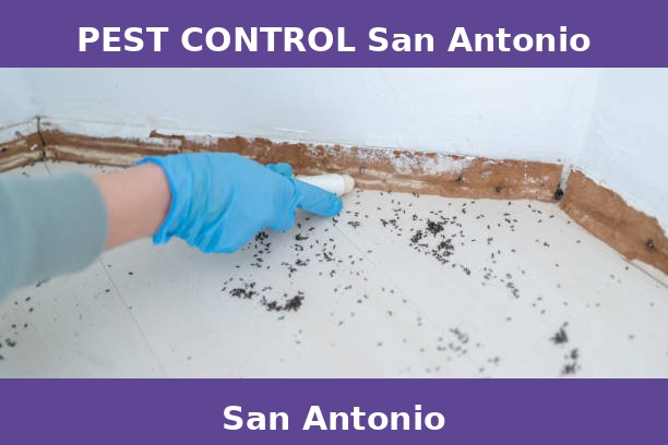 PEST CONTROL San Antonio